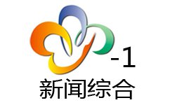 武漢新聞綜合頻道臺標