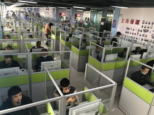 點贊 金山這家企業已集聚30000多家全國企業,還在新疆做了