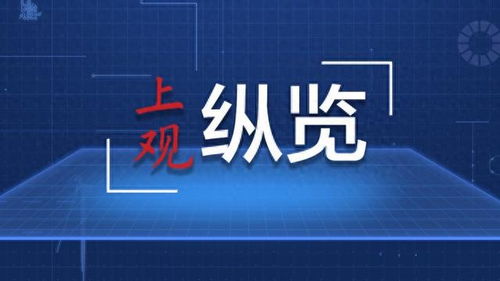 貿易額不斷增加 商品服務愈發多元 中非經貿關系展現強勁韌性與活力