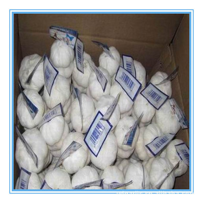 【供應2013年優質出口級純白大蒜,各種規格,有自己工廠】價格,廠家,圖片,蔥姜蒜類,金鄉縣遠大偉業進出口貿易-