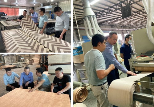 打造國(guó)際板材品牌 帝森元福廣東工廠正式成立
